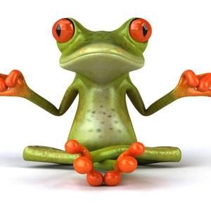 Meet your Posher, Connie